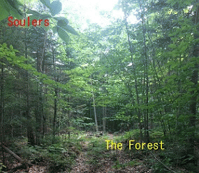 Soulers : The Forest